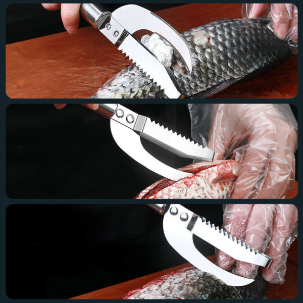 Kitchen 3 In 1 Stainless Steel Scale Planer Fish Scraper Fish Multi-Function Fish Scraper Scale Tool Fish Maw Knife - Image 6