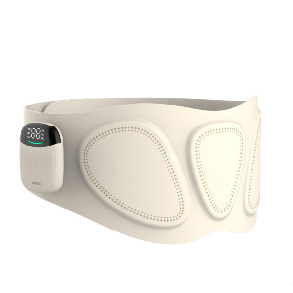 EMS Waist Massager Heating And Warming Palace Waist Supporter - Image 5