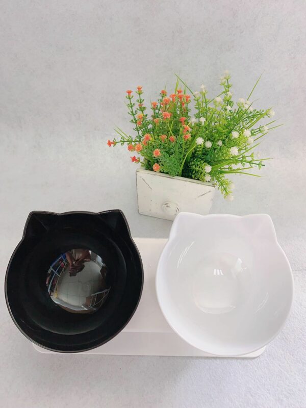 Cat Double Bowl Cat Food Bowl Protects Cervical Vertebra - Image 9