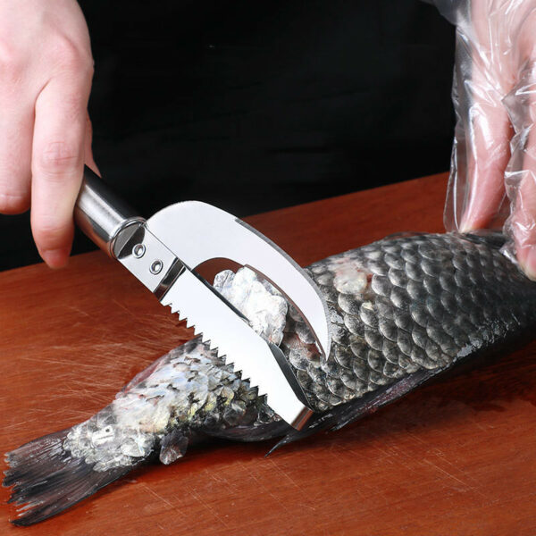 Kitchen 3 In 1 Stainless Steel Scale Planer Fish Scraper Fish Multi-Function Fish Scraper Scale Tool Fish Maw Knife - Image 2